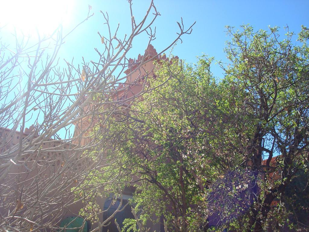 Kasbah Ait Kassi Hotel Boumalne Dades ภายนอก รูปภาพ